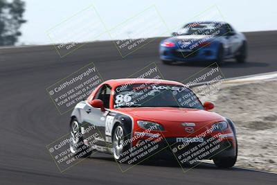 media/Feb-22-2025-CalClub SCCA (Sat) [[57201885c5]]/Group Two/Group 2B/